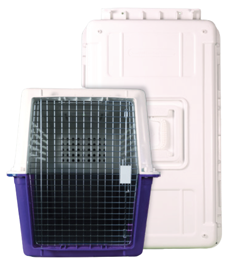 PP60N